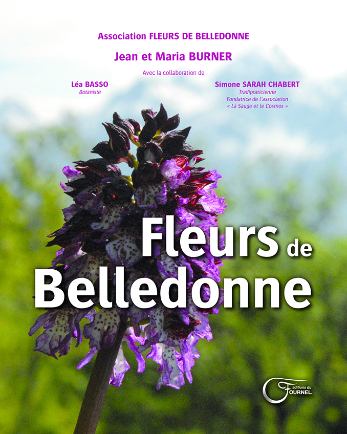 dédicasse : fleurs de Belledonne