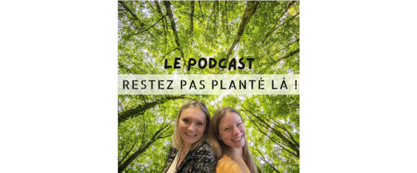 Le sixième sens des plantes : comment perçoivent-elles leur propre corps ? 