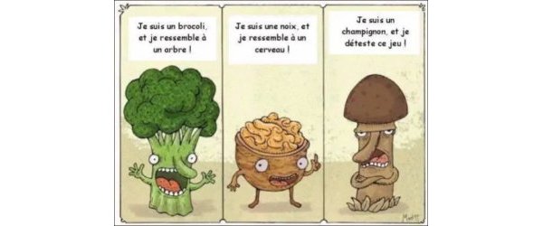 LA THEORIE DES SIGNATURES PLANETAIRES SELON PARACELSE